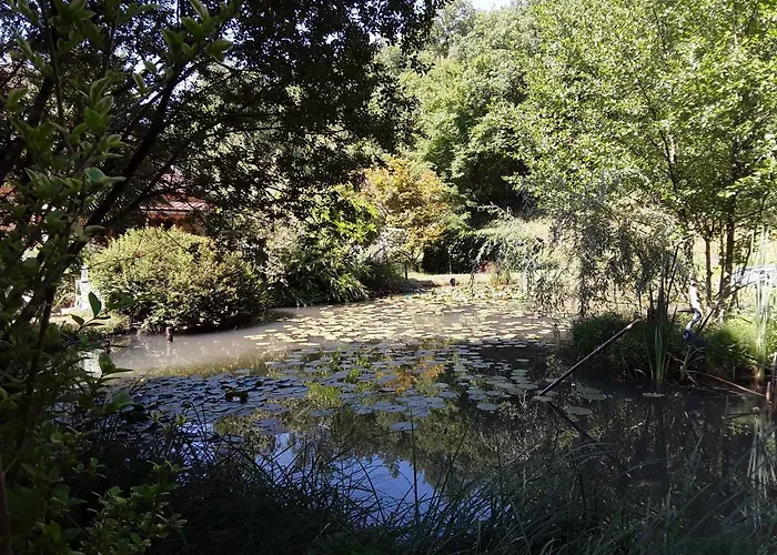 Le Chalet De La Grenouille Verte